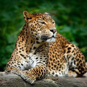 12 days Adventure Sri Lanka